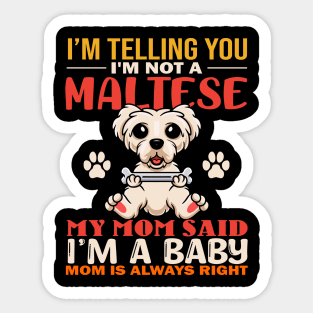 I'm Telling You I'm Not A Maltese My Mom Said I'm A Baby Mom Is Always Right Sticker